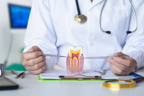 Best Emergency Dental Care for Broken or Chipped Teeth in Jessup, MD